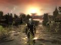 The Witcher