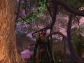 Vanguard: Saga of Heroes
