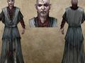 LOTR: The White Council