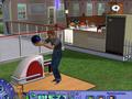 The Sims 2 Seasons