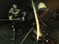 The Witcher 2 : Assassins of Kings