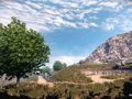 WRC 3
