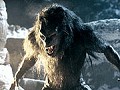 Underworld 3: The Rise of the Lycans