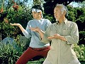 Karate Kid remake