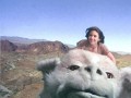 The Neverending Story
