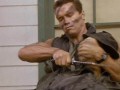 Fox radi Commando