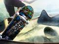 Skate 3